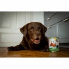 Hund Nassfutter Thanksgiving Day 200g 6 Stück -6- Anifit